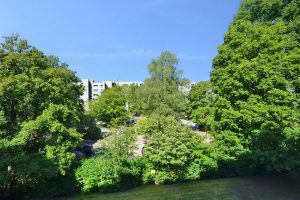 12 Angenehmer Ausblick ins gruene Wohnumfeld